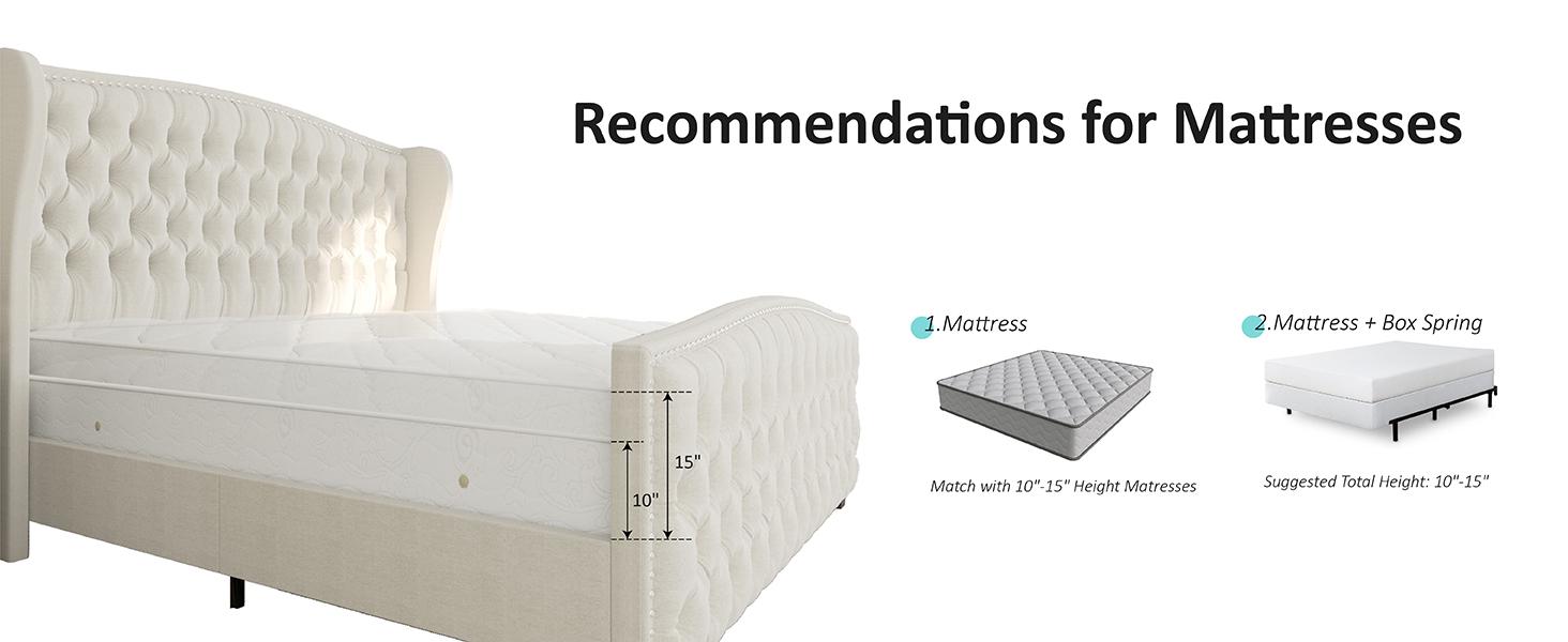 VanAcc Luxury Bed Frame, Velvet Upholstered Bed with Deep Button Tufted Design& Nailhead Trim Wingback Headboard, Unique Bedroom Furniture, No Box Spring Needed/Durability/KING/QUEEN