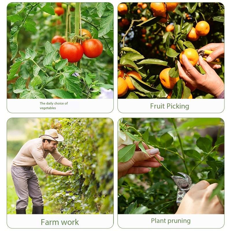 Fruit Vegetable Picking Tool Finger Ring Knife, Small Scissors for Peas Grapes Stem Cutting, Fruit Picker Gadget