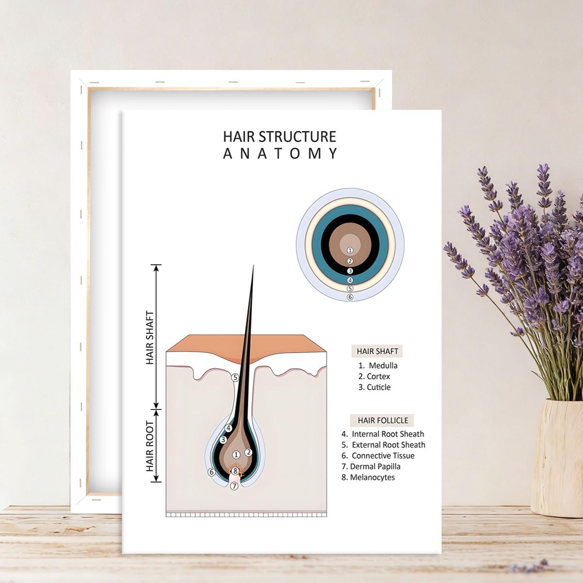 Hair type guide canvas art, wooden framed wall decoration, featuring hair growth cycle charts, damaged hair condition charts, hair anatomy diagrams, and curly hair charts, suitable for hair salon decoration.