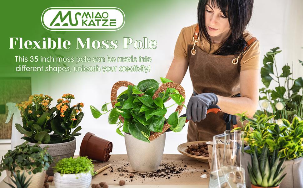 3 Pack Moss Pole,31 Inch Monstera Plant,Bendable Plant Trellis Moss Pole for Plants Monstera,Moss Poles for Climbing Plants Indoor,Coir Plant Pole Sticks Stakes (3pcs)