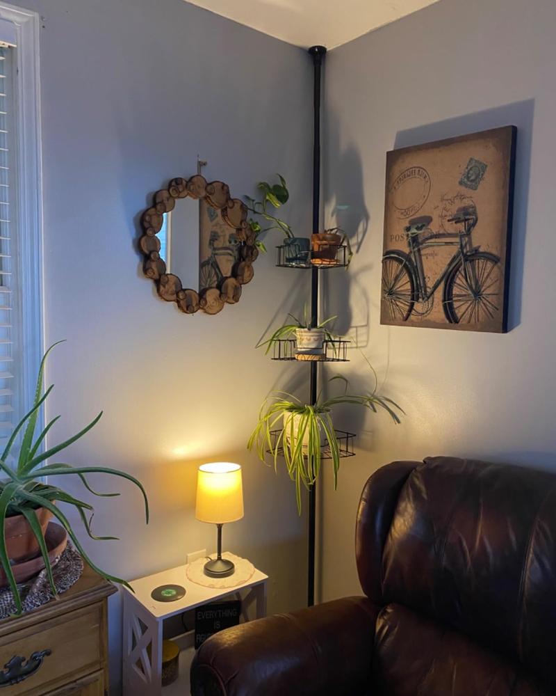 Springtok Corner Shower Caddy Tension Pole Storage Organizer with 4 Adjustable Baskets, Rustproof, Stainless Steel for Shower Shelves,Bathroom Bathtub,DIY Room Racks Springtok Corner Shower Caddy Tension Pole Storage Organizer with 4 Adjustable Baskets, Rustproof, Stainless Steel for Shower Shelves,Bathroom Bathtub,DIY Room Racks