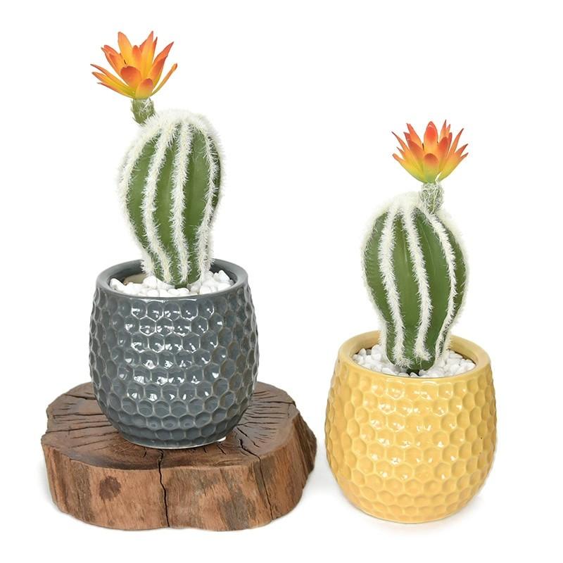 12cmArtificial Desert Cactus with Flowers, 5 Pcs Faux Mixed Indoor Succulents, Vibrant Ball Cactus Stems with Yellow Orange Blooms, Fake Spiky Plastic Tropical Greenery, Decorative Flowers for Plant Wall Design, Home Window Shelf Farmhouse Decor, Unpotted