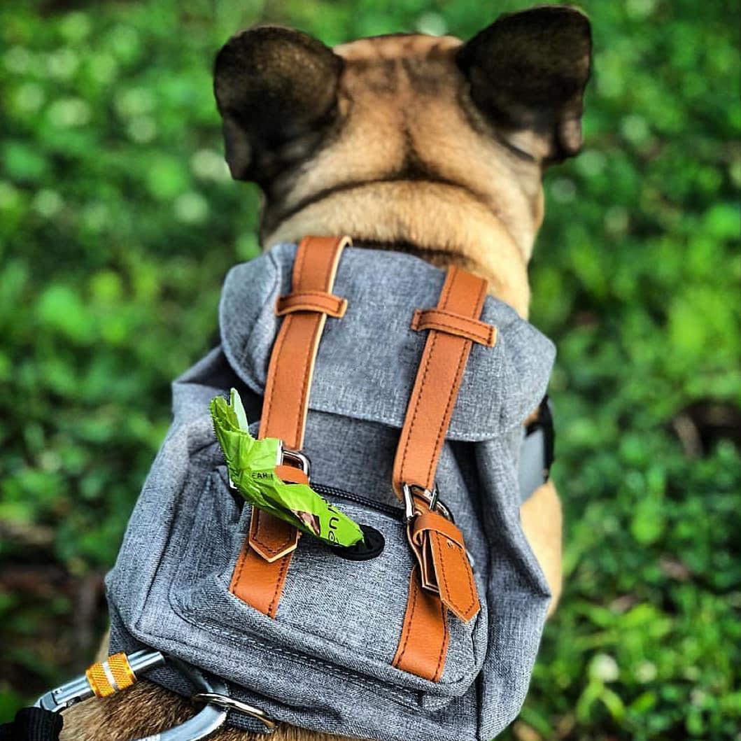 Multifunctional Adjustable Pet Carrier Backpack with Safety Harness, Suitable for Small to Medium Dogs (Chest 17.72-25.59inch), Portable Travel And Daily Use Pet Bag
