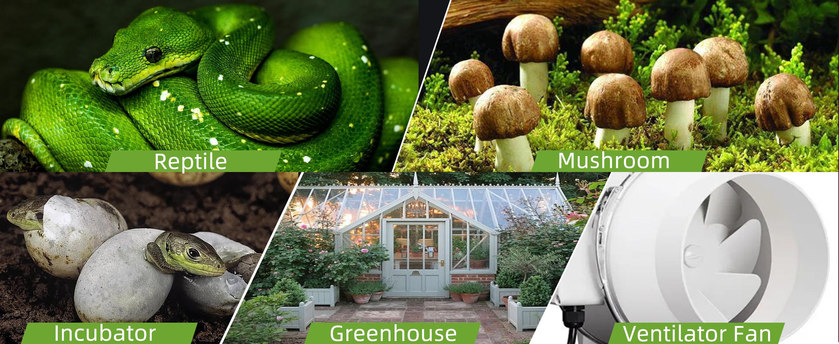 DIGITEN DHC312 Digital Display Humidity Controller, Pre-wired Dual-Stage Outlet with Temperature Display, Humidifier and Dehumidifier Controller, Suitable for Grow Tents, Reptile Enclosures, Mushroom Rooms, and Fans DIGITEN DHC312 Digital Display Humidity Controller, Pre-wired Dual-Stage Outlet with Temperature Display, Humidifier and Dehumidifier Controller, Suitable for Grow Tents, Reptile Enclosures, Mushroom Rooms, and Fans