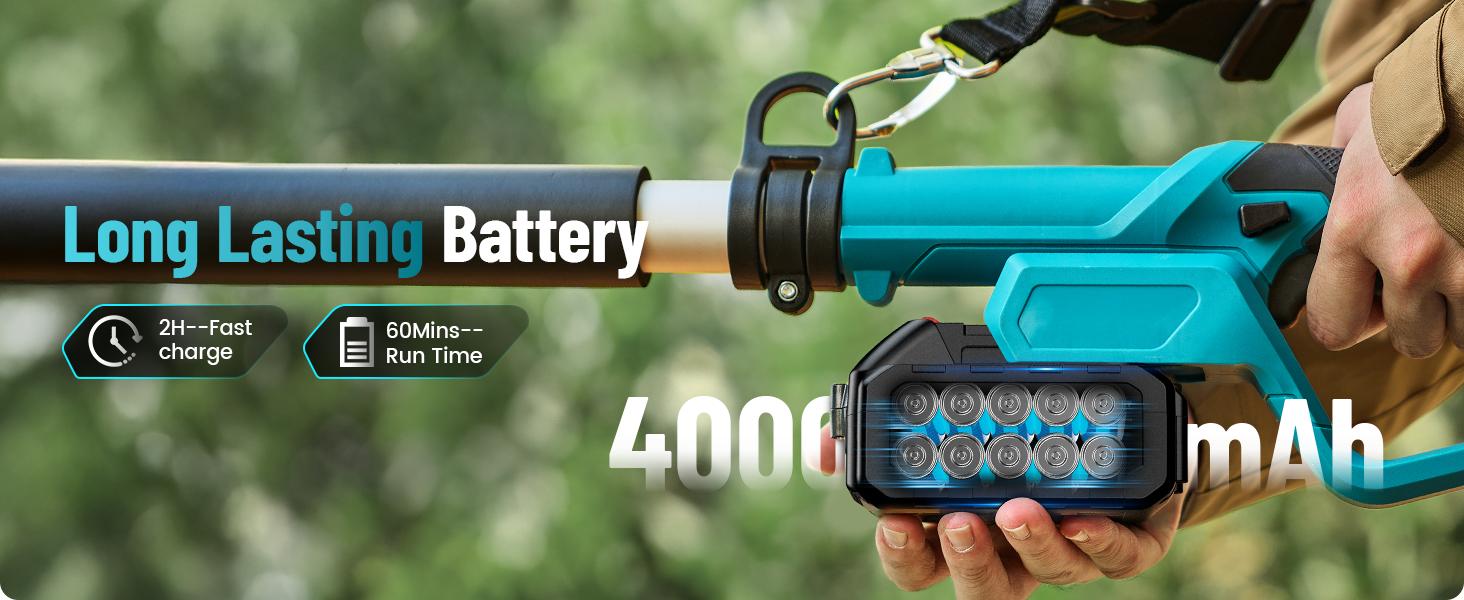 Seesii Electric Pole Saws for Tree Trimming, 10 Inch & 8 Inch Cordless Pole Chainsaw Bars with Extendable Rod (Up to 9.2ft), Auto Oiler, 4000mAh Battery Powered Tree Pruner for Bush & Branch Cutting CHT10 #TikTokShopBlackFriday