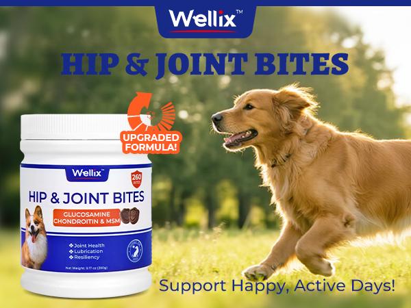 Wellix 260-Count Dog Hip and Joint Chews, Joint Supplement with Glucosamine Chondroitin MSM, Hip & Joint Pain Relief for All Breeds