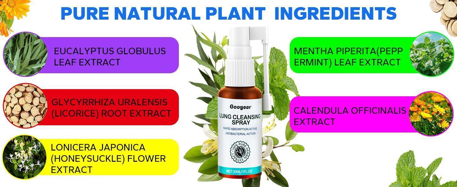 Herbal Lung Cleansing Breath Spray-Lung Detox for Smokers,Mullein Leaf Extract Mucus Relief for Lungs,Lung Detox and Lung Cleanse,Respiratory Support(2 PCS)