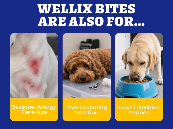 Wellix 260-Count Dog Allergy Relief Chews - Dog Allergy and Itching Skin Relief & Immune Support for Itchy Skin and Itchy Ears, 100% Natural Ingredients