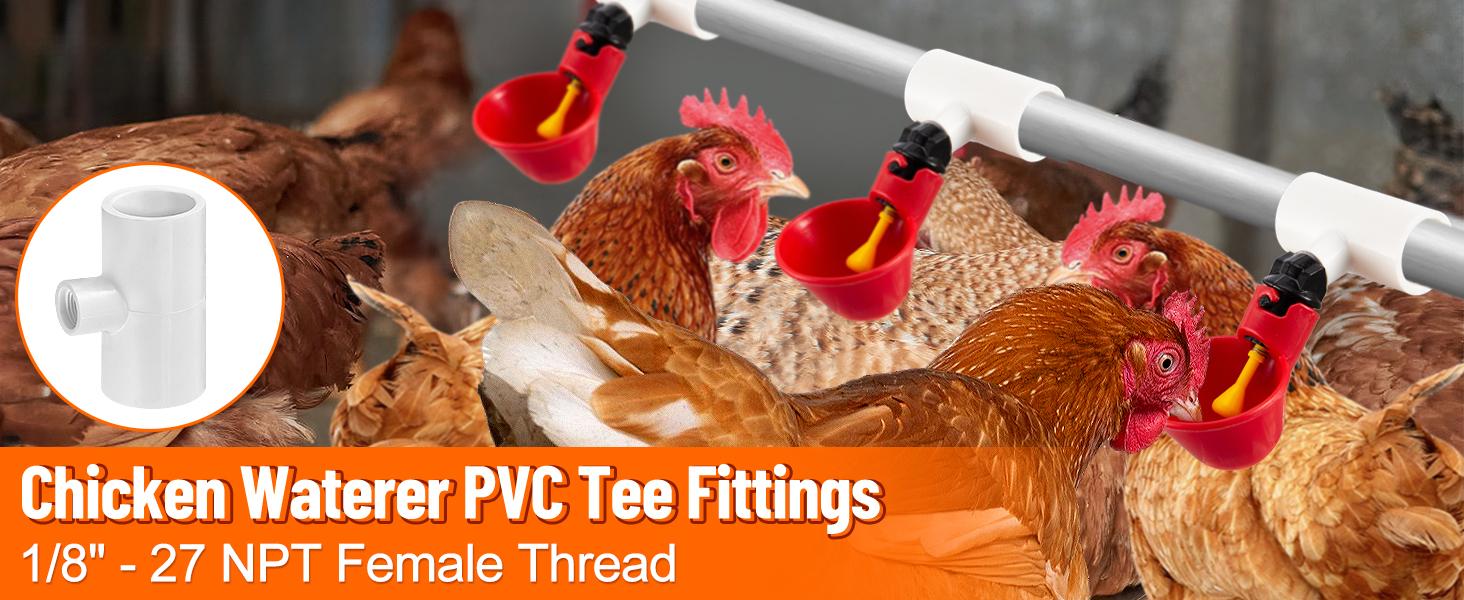 12-Piece PVC Tee Fittings for Automatic Chicken Waterer, Threaded Connectors That Connect Poultry Nipples, Cups, Feeders (Farm Animal & Poultry Feeding Supplies), Connects