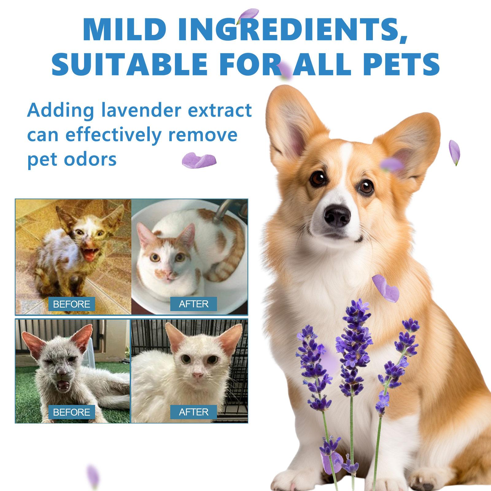 Yegbong Pet No-Rinse Essence Set - No-Rinse Grooming Essence for Cats and Dogs That Cleanses Fur, Fluffs, Smooths, and Provides Fragrant Care, Smoothness