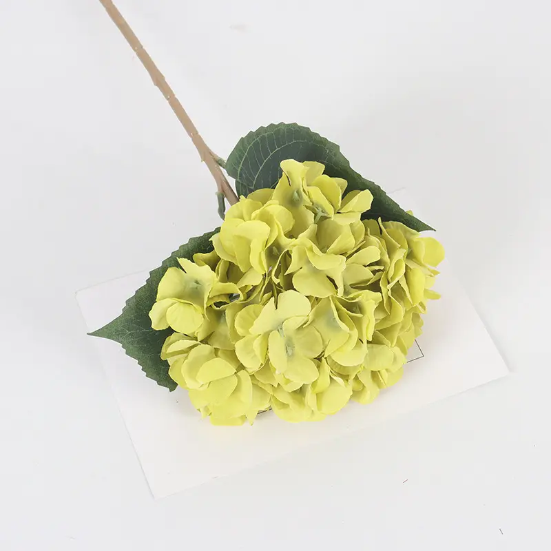 Yellow-Green