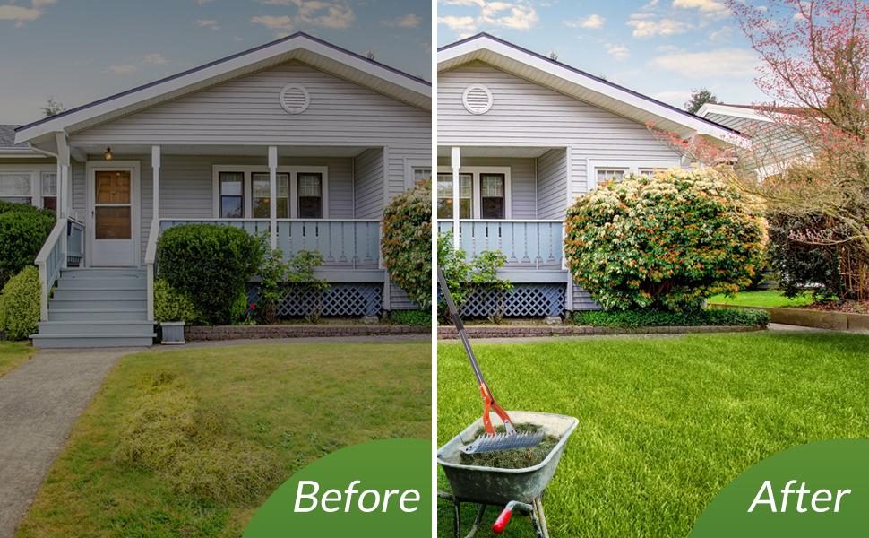 Walensee Thatch Rake, 15-Inch Lawn Thatching Rake, Robust Dethatcher Rake, Efficient Steel Metal Rake with Handle, Versatile Grass Grooming Rake for Cleaning Dead Grass