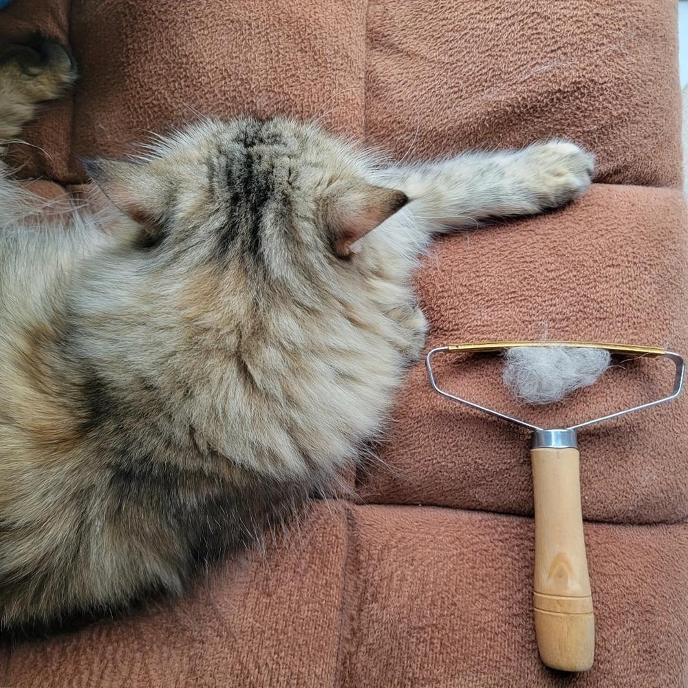 Pet Hair Remover - Multi-fabric and carpet hair removal scraper, deep cleaning hair remover, suitable for sofas, carpets, pet towers and furniture for cats and dogs