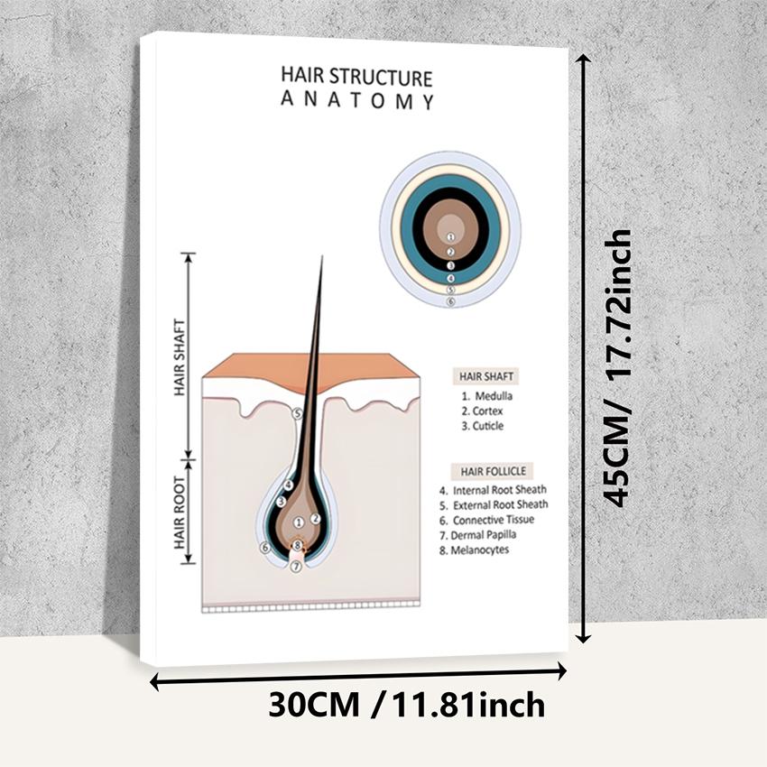 Hair type guide canvas art, wooden framed wall decoration, featuring hair growth cycle charts, damaged hair condition charts, hair anatomy diagrams, and curly hair charts, suitable for hair salon decoration.