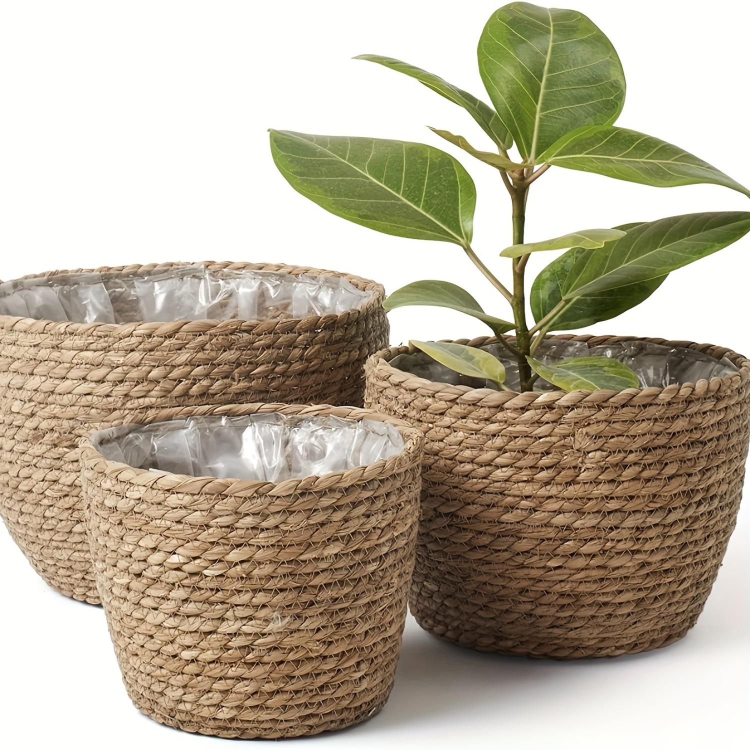 3 Pack Handwoven Seagrass Plant Baskets with Artificial Moss Lining, Breathable Flower Planter Pots, Lightweight Storage Baskets for Succulents, Herbs and Various Potted Plants, Stylish Decor for Indoor and Outdoor Garden Layout