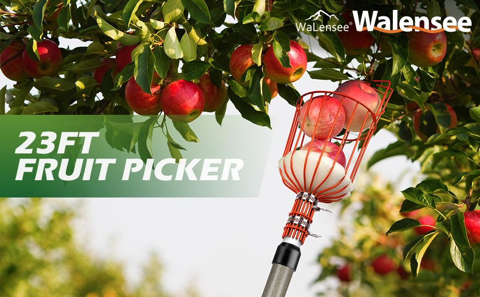 Walensee 23FT Fruit Picker, Adjustable Fruits Picker Tool with Fiberglass Pole, Big Basket and Storage Bag, Fruit Catcher Equipment Tree Picker for Lemons Apples Mango Orange Avocados Fruit Picking