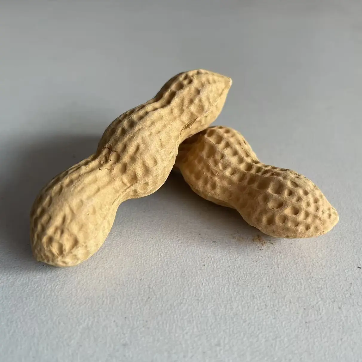 Hand‑crafted Duan Clay Zisha Peanut Figurine Pair  Blessing for Long Life & Abundant Offspring, Tea Tray Decor