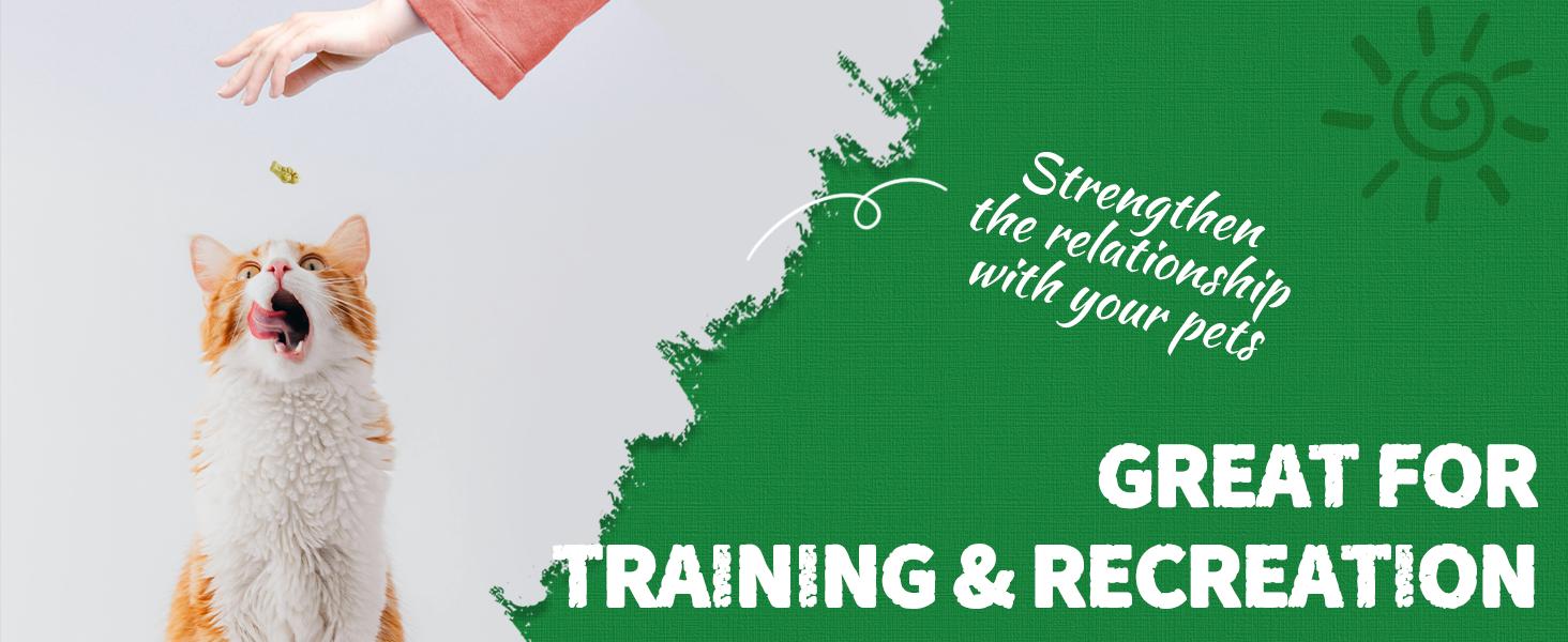 Just Try Cat Treats, Cat Grass Treats, Natural Salmon Flavor Healthy Cat Snacks, Training Biscuits Treats for Cats, Catnip for Cats, Crunchy Fish Shape Adult Cat Snacks, 13.4 oz