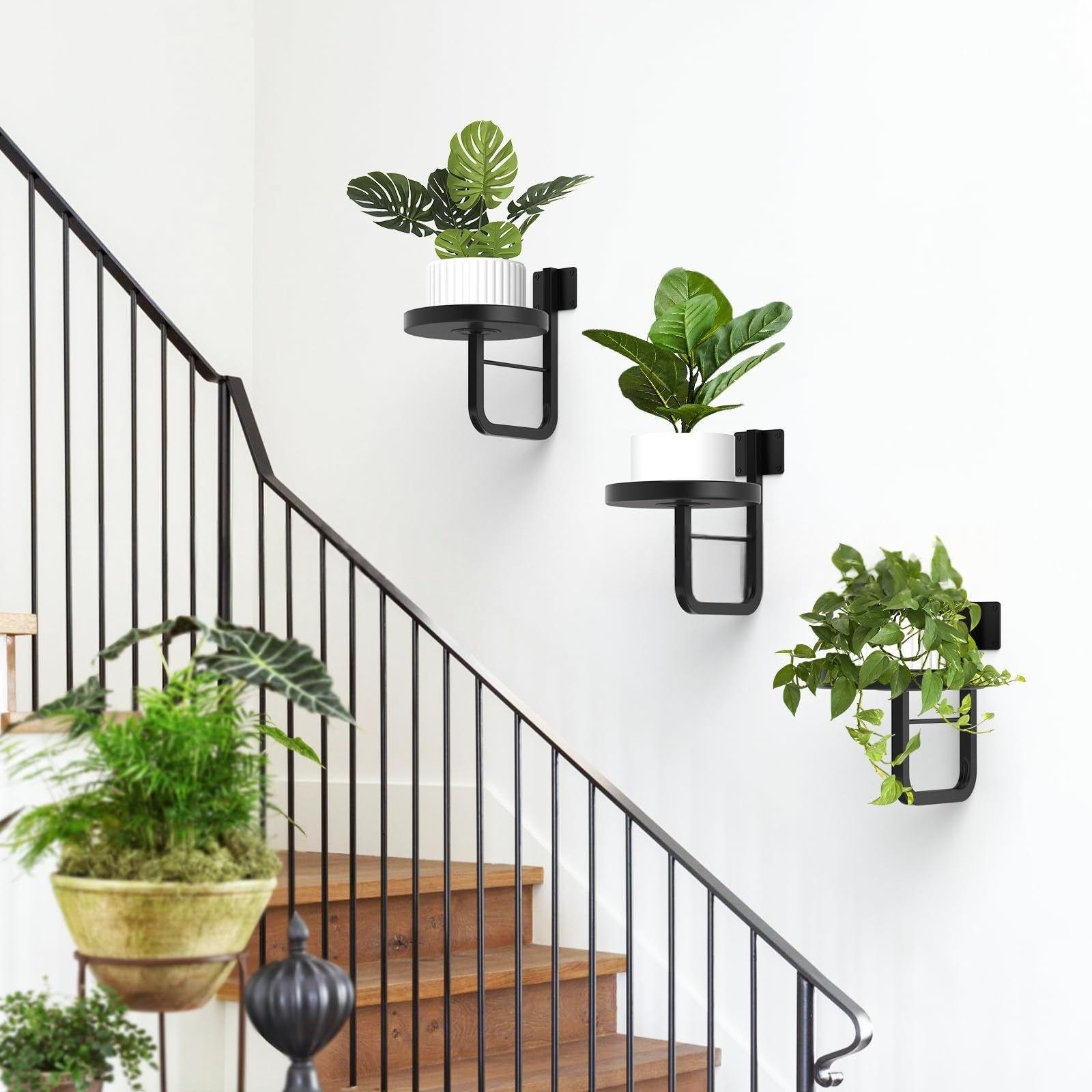 Wall-Mounted Plant Stand, Metal Wall-Hanging Planter Shelf, Indoor Plant Frame, Home Decor, Vertical Gardening Solution, Wall Plant Holder