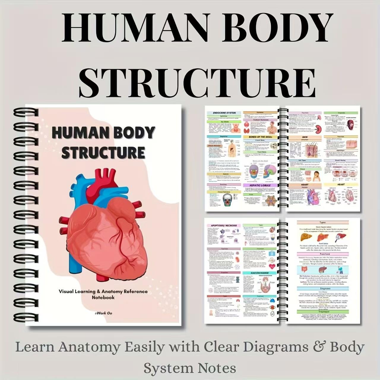 Human Anatomy Notebook for Medical Students, Nurses, and Biology Professionals, Visual Learning Spiral Bound Notebook, Essential Study Tool
