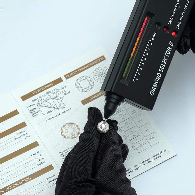 Delzzad Double Halo Ice Stud Earrings Synthetic Moissanite S925 Earrings Jewelry Perfect Birthday Wedding Anniversary Gift for Men Women