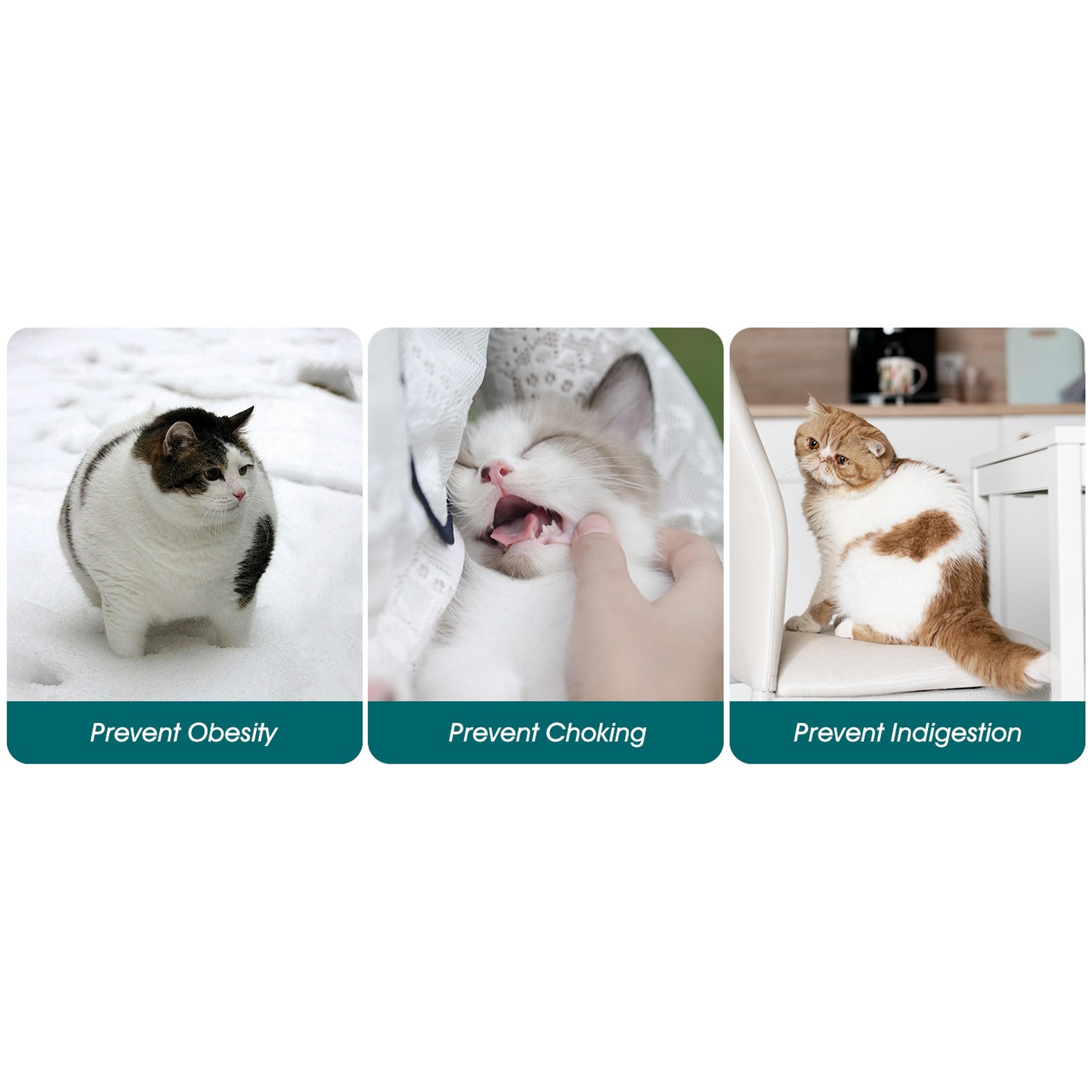 Elevated Ceramic Slow Feeder Cat Bowl, 6.25in Anti-Vomiting Bowl for Dry & Wet Cat Food, White, Elevated Bowl Elevated Ceramic Slow Feeder Cat Bowl, 6.25in Anti-Vomiting Bowl for Dry & Wet Cat Food, White, Elevated Bowl