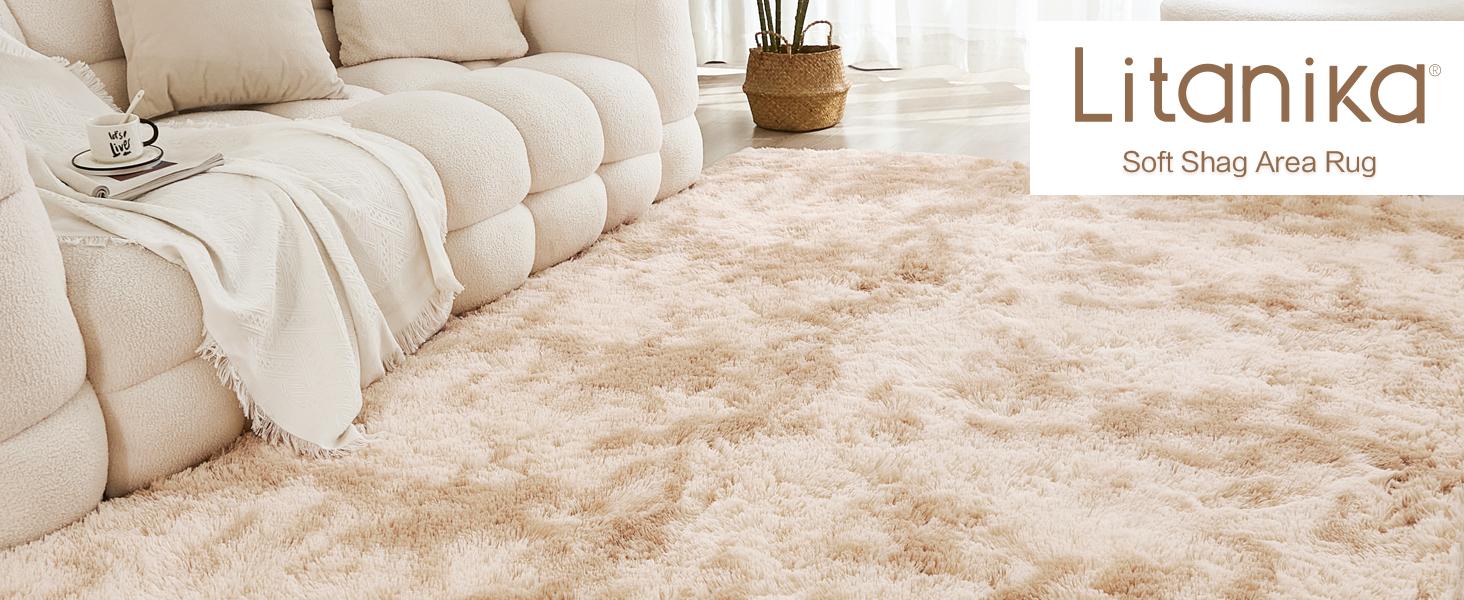 Litanika Shaggy Area Rugs - 4x6 5x7 8x10 Plush Tie-Dye Carpet, Ultra Soft Non-Slip Floor Mat for Bedroom Living Room Dorm, Machine Washable Furry Rug (Multiple Sizes)