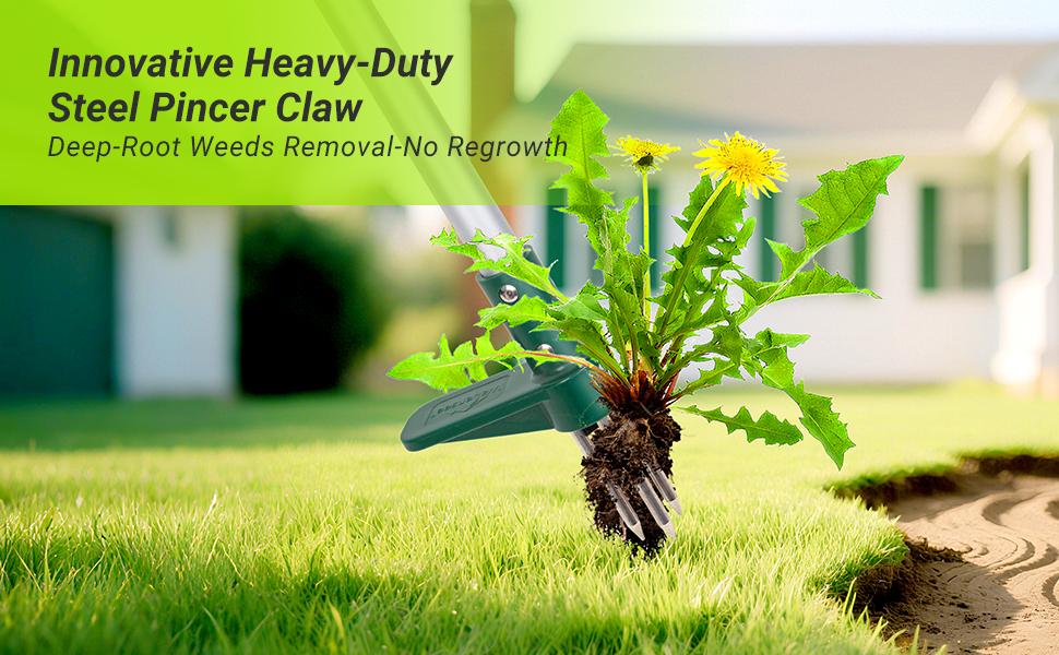 Classic Weeder Tool - Long Handle Weeder Puller with 3-Claw Head | Standing Root Extractor for Dandelions & Tough Grass| Garden Clearance Special (1 Pack)