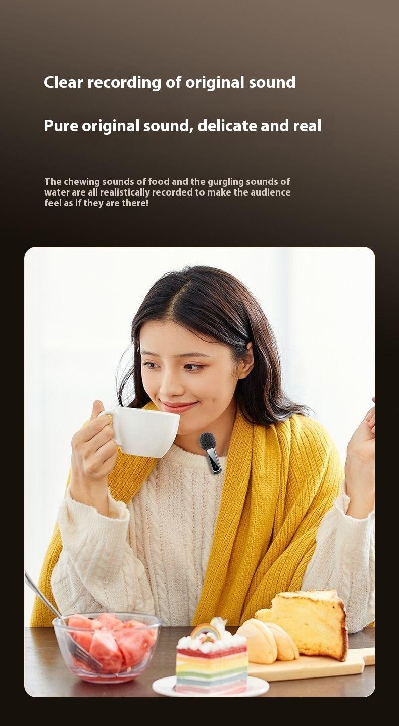 2pcs Professional Wireless Lavalier Microphone forAndroid,iPhone iPad with Adapter Included NoiseReduction Plug-Play Clip on Lapel Mic for TikTok,YouTube, Recording, Vlog, Facebook Live StreamingAudio Smartphone