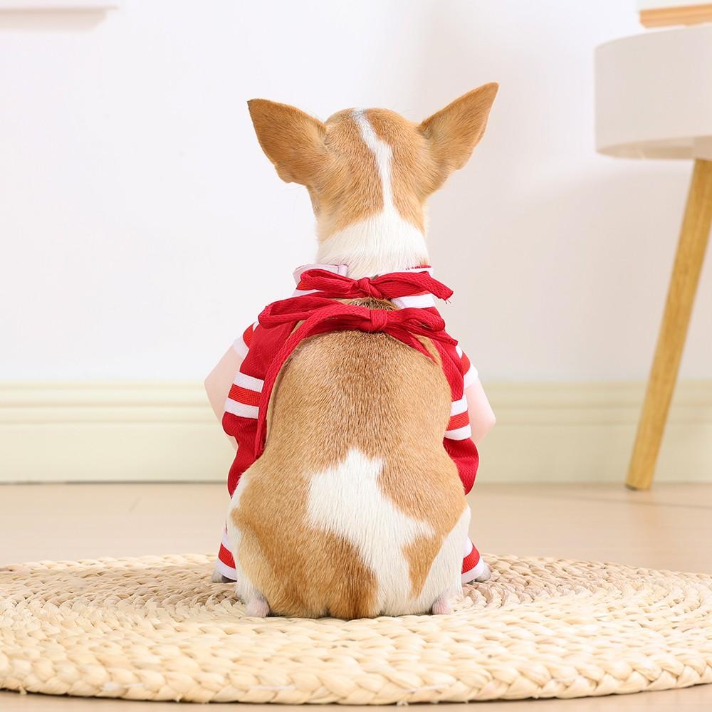 Pet Basketball Transformation Costume, Humanoid Ball Design, Striped Sporty Style, Breathable Mesh Strap, Small Dogs (chihuahua/pomeranian/teddy)