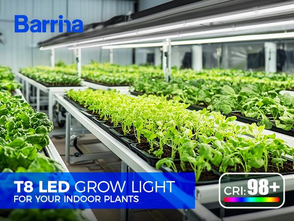 Barrina T8 Grow Lights V-Shape with Reflector, 4FT, Full Spectrum, 168W(4 x 42W), Linkable, 5000K Daylight White, 4 Packs