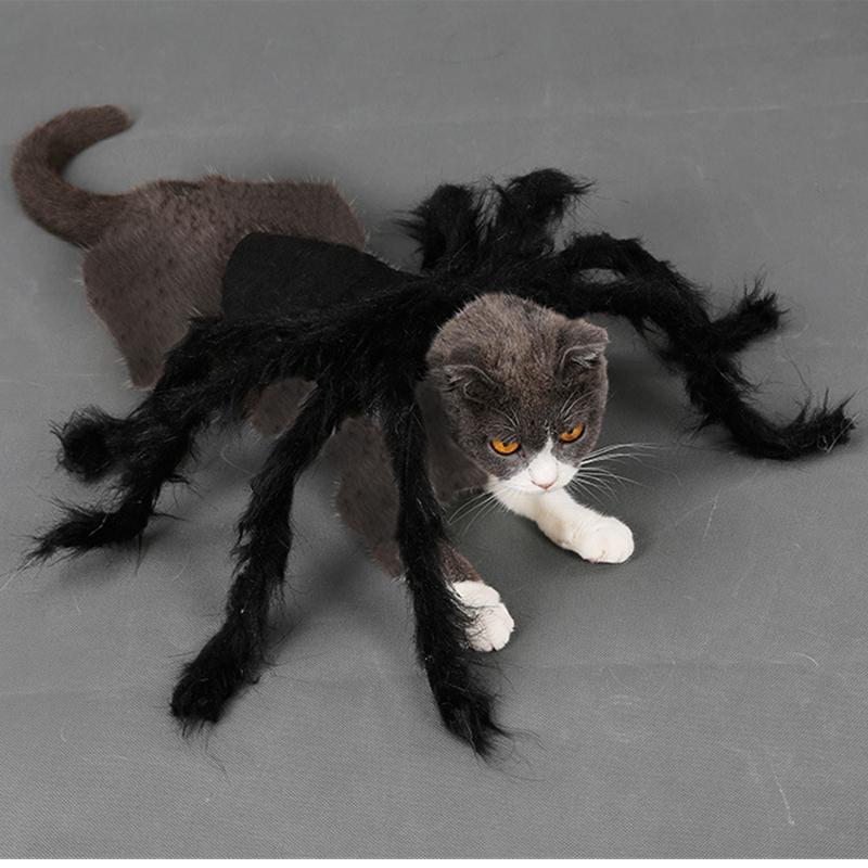 Cat Halloween Costume Cat Bat Wings - Pet Bat Costume Dress Costume Outfit Wing for Small Dogs Cats 2025 Newest Pet Halloween