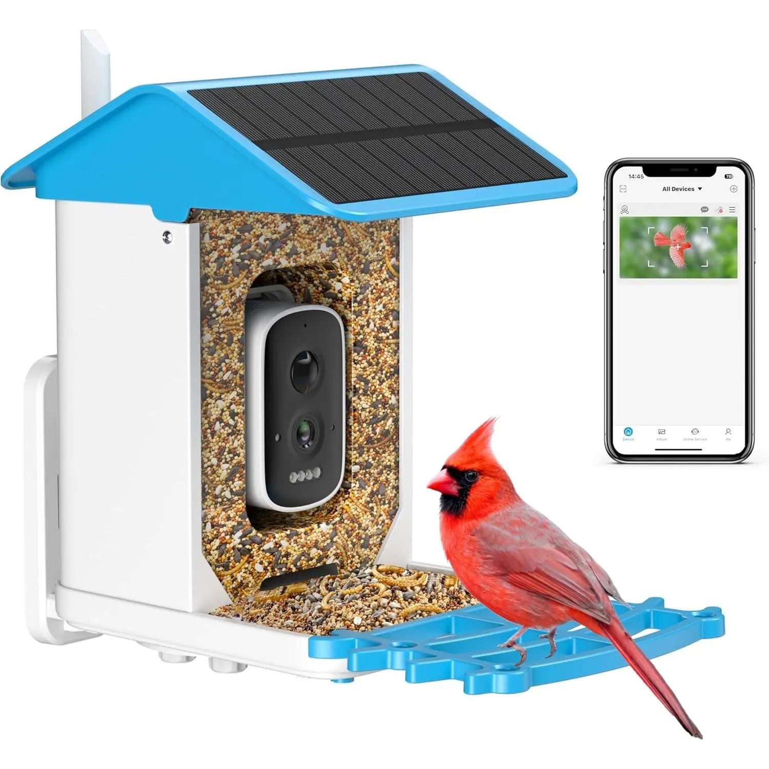 Bird Feeder with Camera Solar Powered AI Recognition Auto-Capture & Instant Notify Identify 11000+ Birds 2K HD Footage for Bird Enthusiasts Outdoor Garden