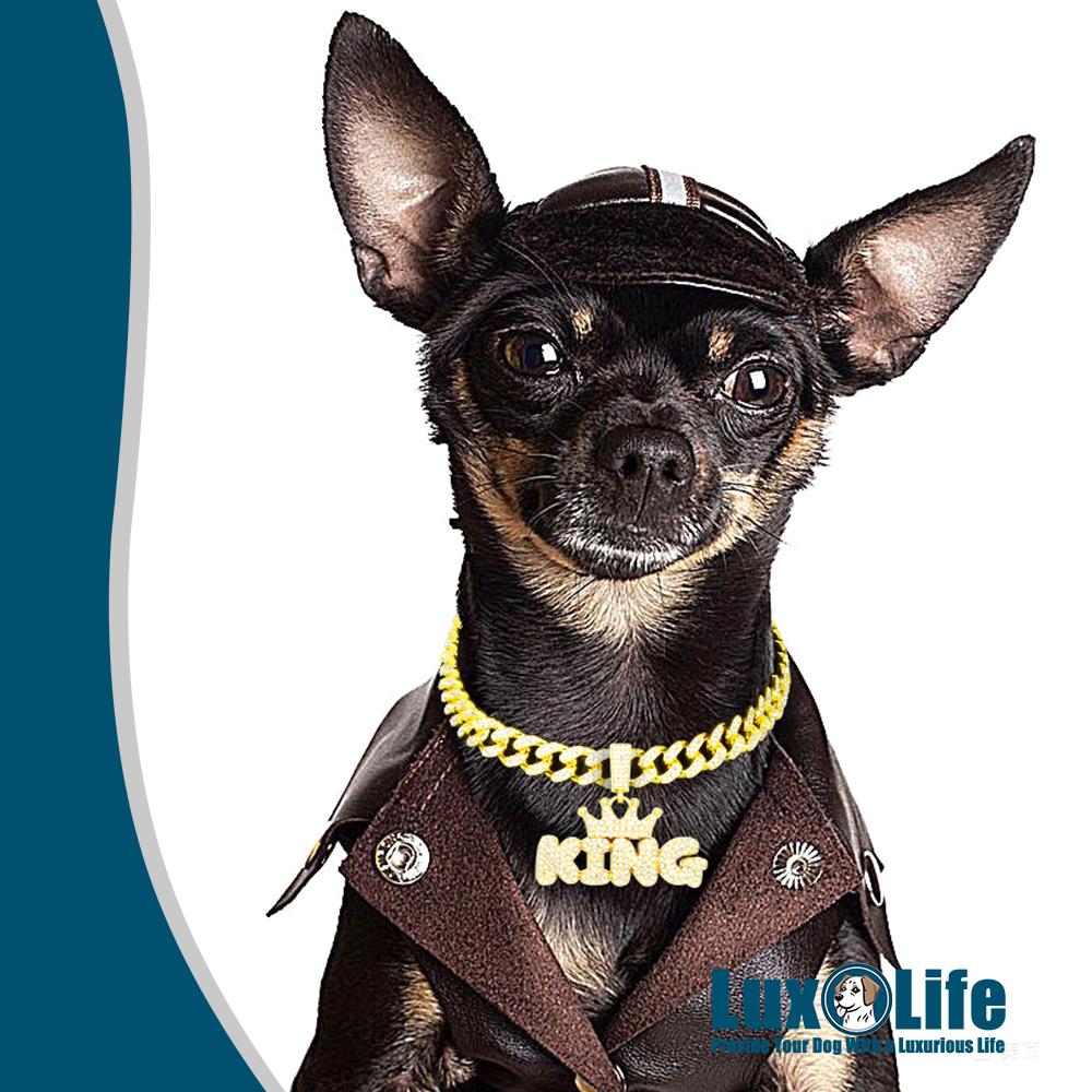 Gold Dog Chain Collar Necklace with diamond pendant "KING" letter Wearing a crown,Diamond Cuban Link Dog Collar 13mm Wide Dog Necklace Metal Cat Chain Pet Crystal Collar Jewelry Accessories for Small Medium Large Dogs Cats