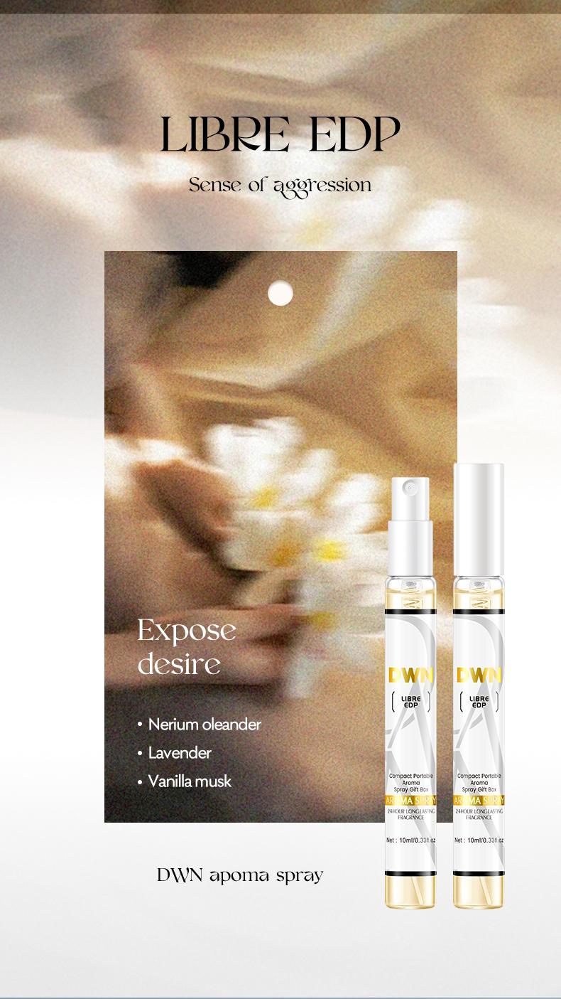 High-End Secret Perfume Set 10 X 10ML, Luxury Fragrances, Perfect Gift for Perfume Lovers, Perfume Sampler Set for Beginners