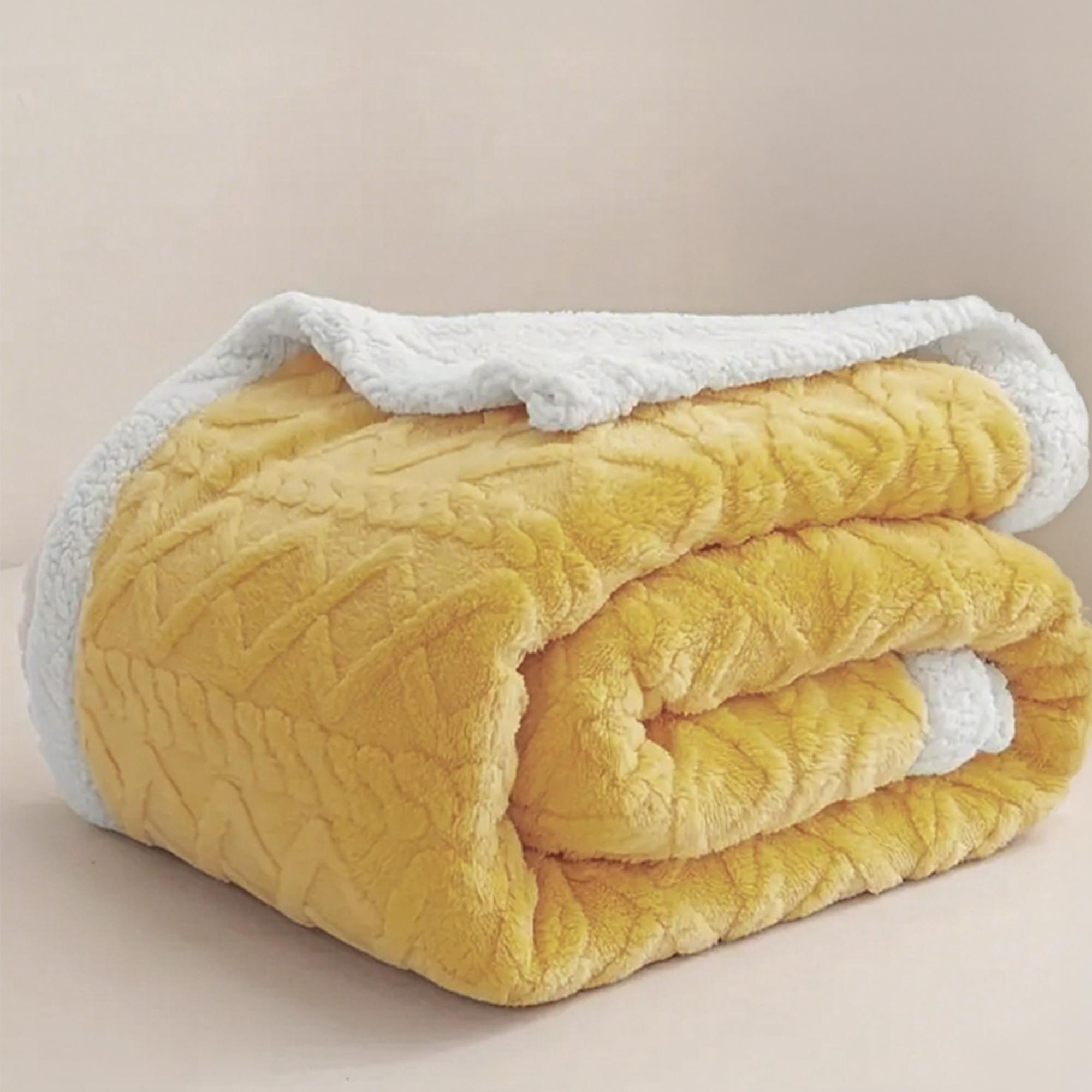 Raybee Cozy Soft Blanket for Bedroom, Luxurious Double Sided Plush Throw Blanket, Soft Comfortable Breathable Blanket, Lightweight Summer Fluffy Blanket For Couch, Bed, Travel,Camping