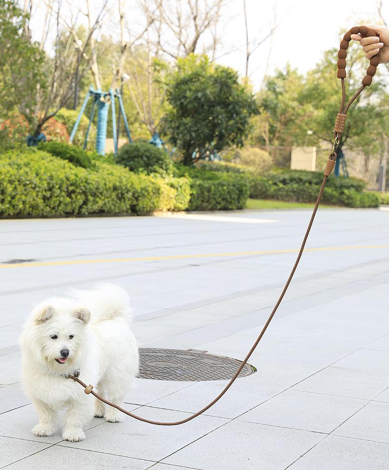 Dog Slip Lead All In One Training Leash Soft Foam Handle Heavy Duty Polyester Climbing Rope Walking Leash for Small Medium Large Dogs