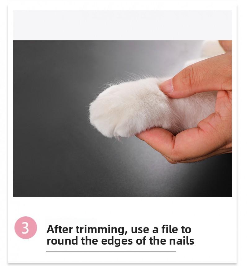 New Viral LED Pet Nail Clippers, Anti-quick Nail Grinder, Dog & Cat Nail Cutter, Pet Grooming Supplies