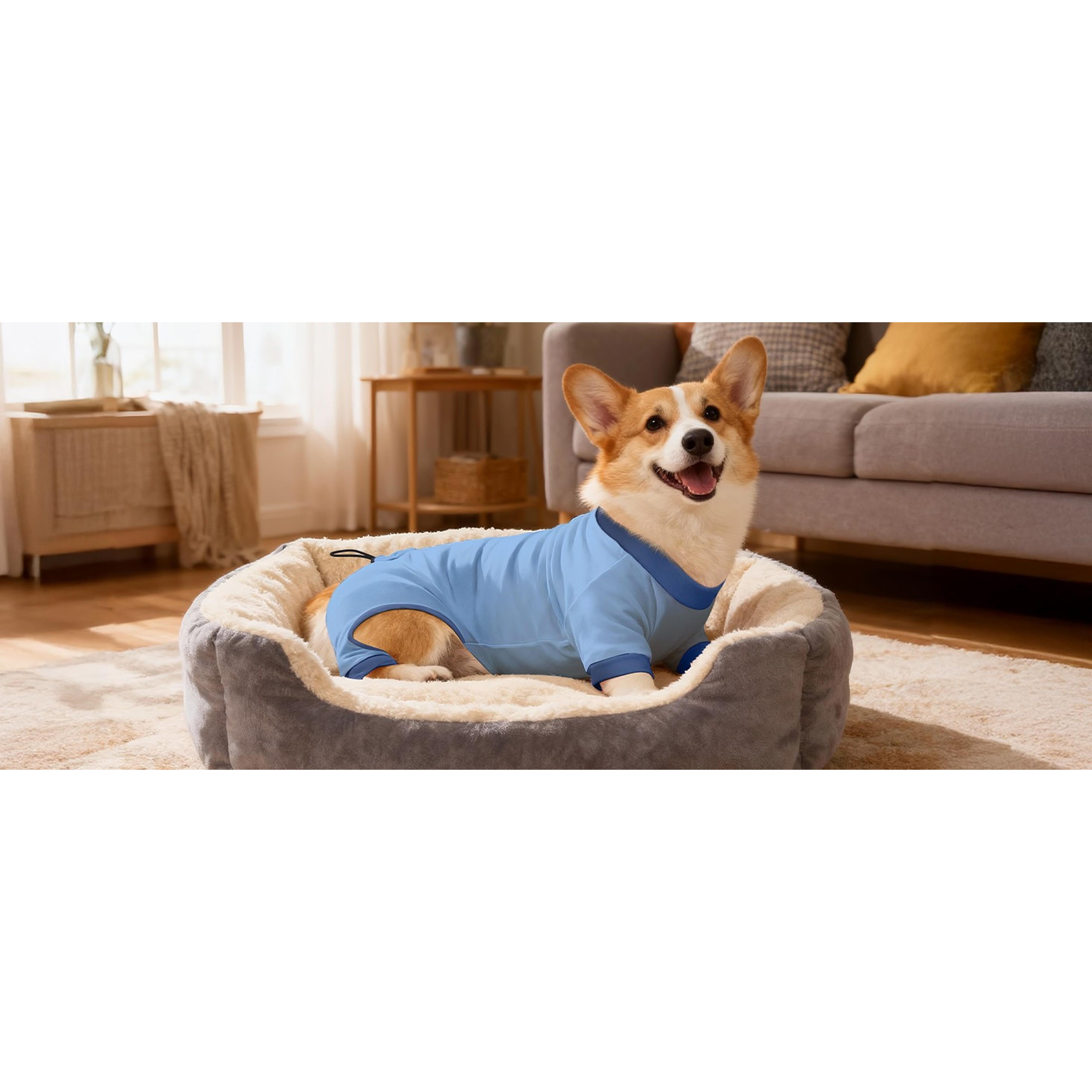 Dog Pajamas, 4 Pack Dog Recovery Suit Shedding Suit Cute Soft Puppy Clothes Dogs Pjs Onesies Jammies Adjustable Breathable & Stretchy Clothes for Small Medium Large Dogs Girl Boy Puppy-M Dog Pajamas, 4 Pack Dog Recovery Suit Shedding Suit Cute Soft Puppy Clothes Dogs Pjs Onesies Jammies Adjustable Breathable & Stretchy Clothes for Small Medium Large Dogs Girl Boy Puppy-M