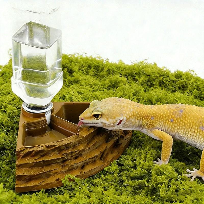 Automatic Feeder and Waterer for Reptiles, Resin Material, Lizard Snake Gecko Tortoise Rock-Like Drinking Bowl, Includes Plastic Bottle
