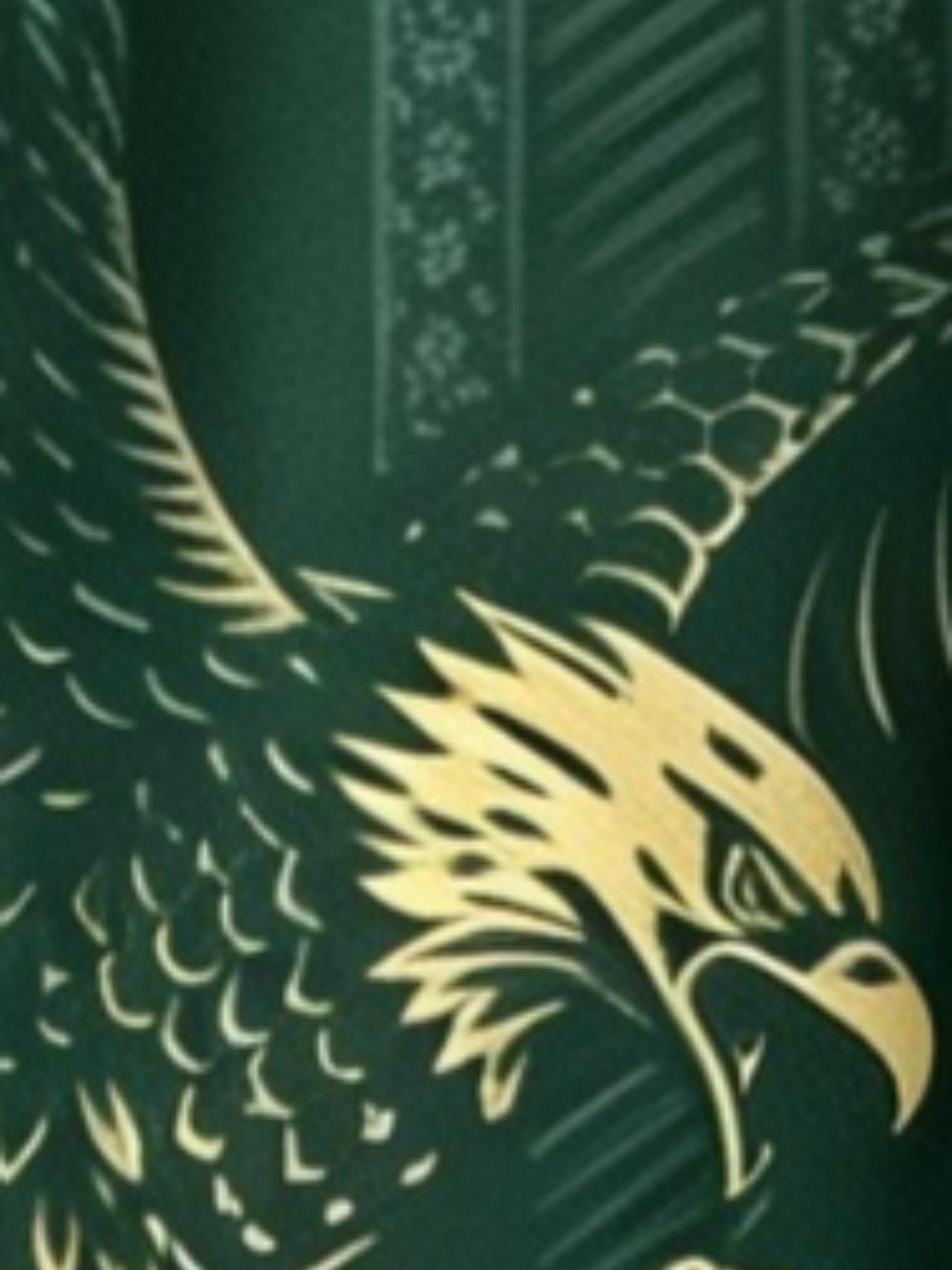 Aztec Eagle Serpent Totem Print Tee, Vintage Maya Design, 3D Print, Unisex Loose Fit, Summer Casual Long Sleeve Top