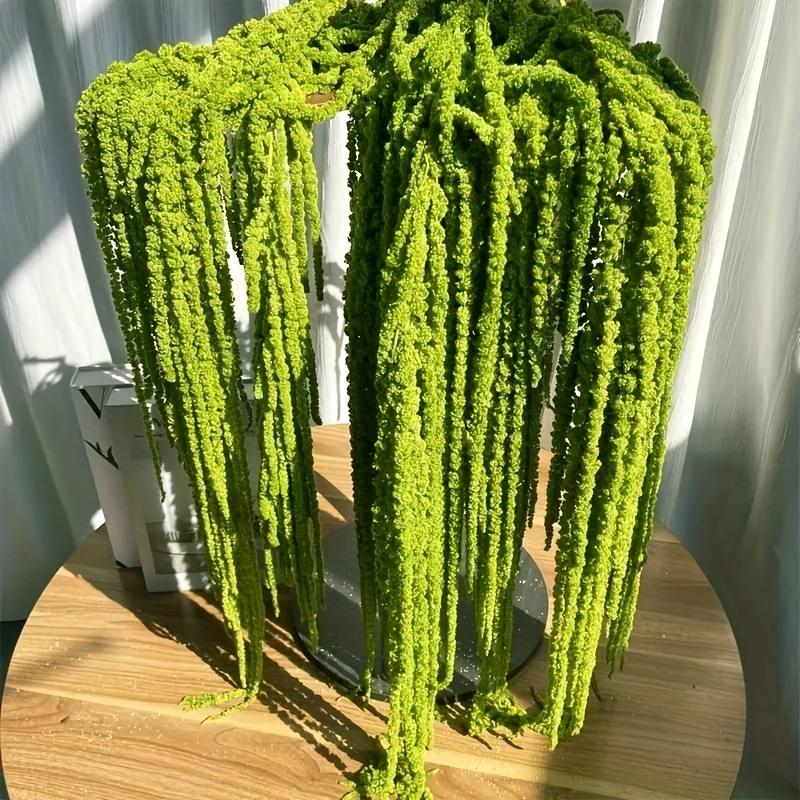 10 Artificial Amaranth Flowers - Elegant Green Wisteria Hanging Flowers, Suitable for Bohemian Home, Pie, Wedding Center, Christmas, Valentine's Day, Outdoor Garden Decoration, Photography Props, Bridal Bouquet Accessories, Wedding Center Decoration