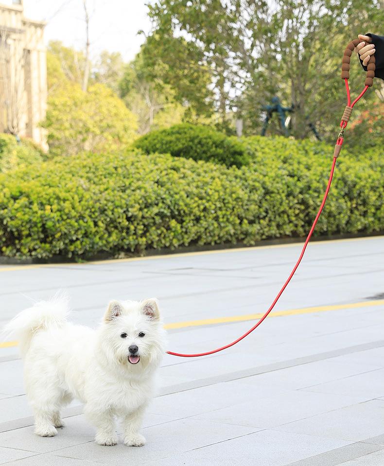 Dog Slip Lead All In One Training Leash Soft Foam Handle Heavy Duty Polyester Climbing Rope Walking Leash for Small Medium Large Dogs