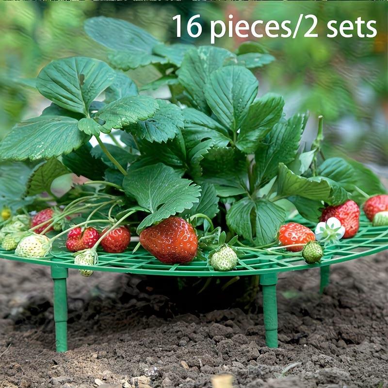 16-Piece Set, 8-In-1 Combo High-Quality Strawberry Planters, Quick Install Design, Multi-Functional Plant Rack for Strawberries & Small Plants