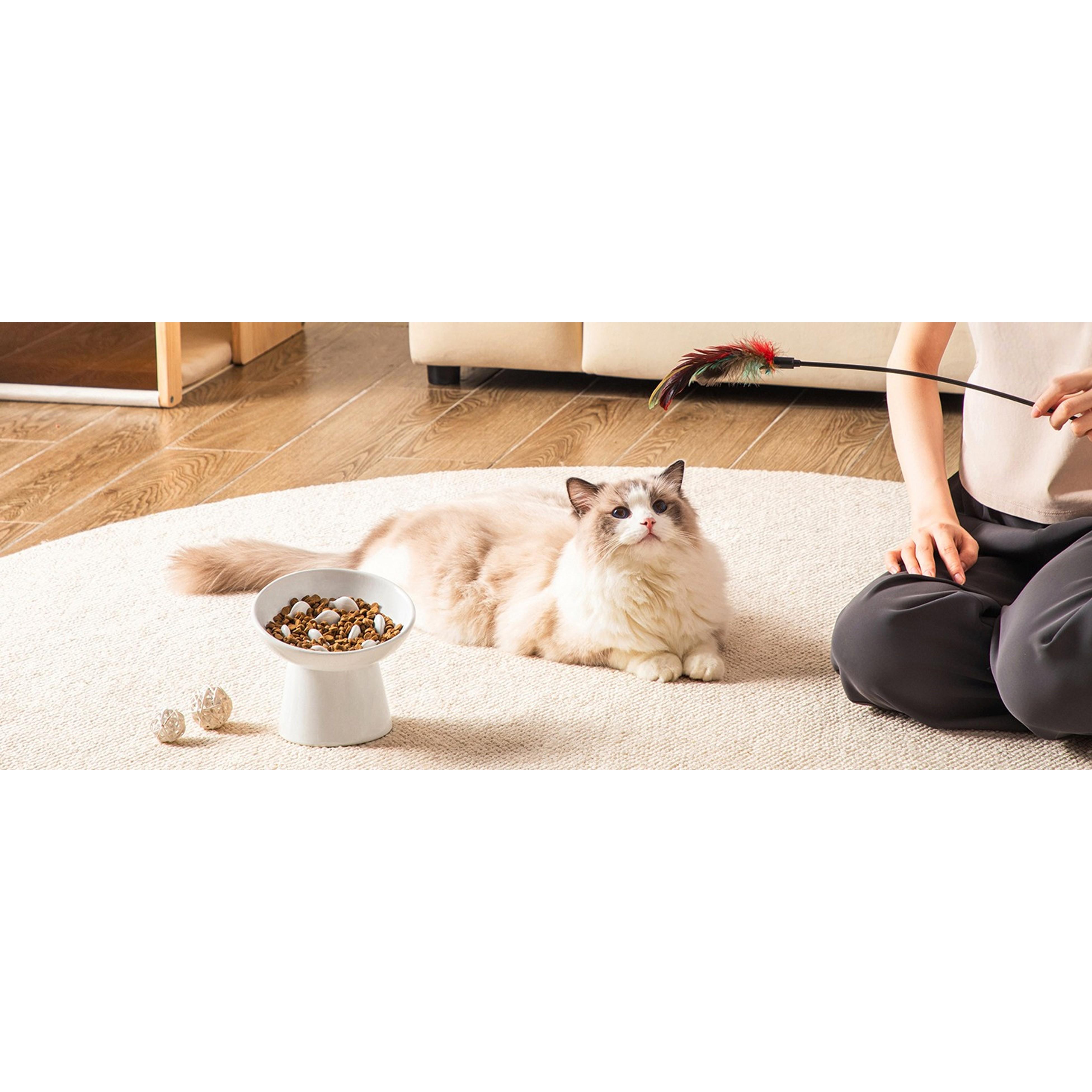 Elevated Ceramic Slow Feeder Cat Bowl, 6.25in Anti-Vomiting Bowl for Dry & Wet Cat Food, White, Elevated Bowl Elevated Ceramic Slow Feeder Cat Bowl, 6.25in Anti-Vomiting Bowl for Dry & Wet Cat Food, White, Elevated Bowl