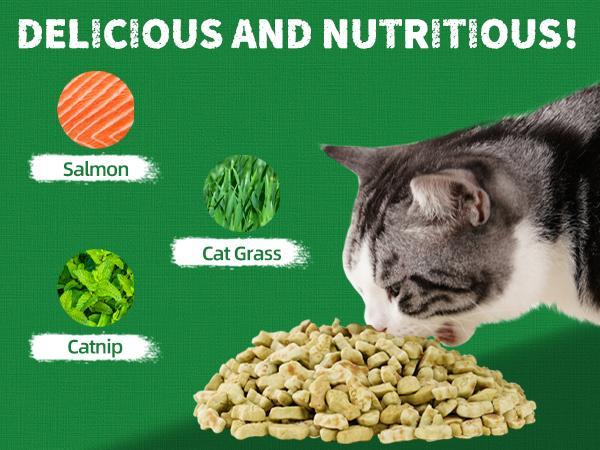 Just Try 2PCS Cat Grass Treats with Salmon & Catnip | Hairball control and Training treats | Teeth cleaning snack Reduce plaque  (13.4oz, Salmon & Catnip Flavor)