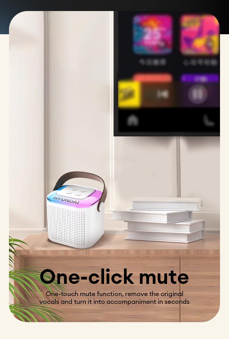 HYUNDAI S13 Portable Wireless Karaoke Bluetooth Speaker With Microphone HIFI Stereo Sound Subwoofers, KTV Speaker Subwoofer With Lighting Effect