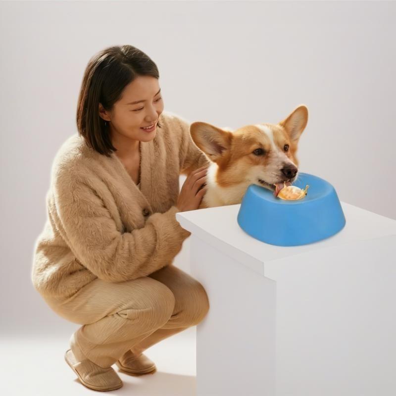 No More Choking! Dog Slow Feeder Bowl That Works