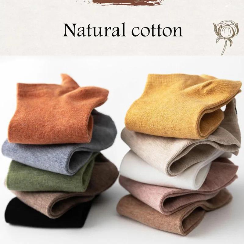 10 Pairs Pack Kawaii Socks Women Happy Ankle Funny Cartoon Embroidery Cat Harajuku Accessories Short Lot Gift Paws Claw