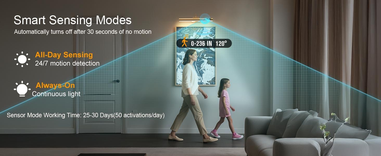 Modern LED Wall Light with Controller and Timer, Adjustable Brightness, Ideal for Artwork and Dartboards